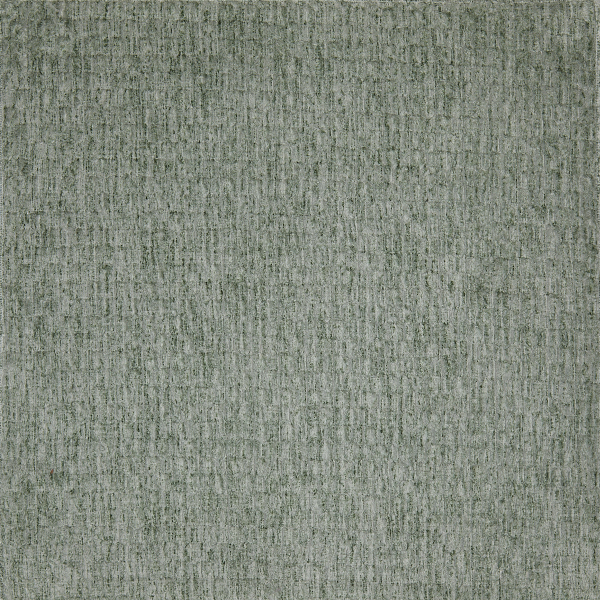 Anniston Eucalyptus