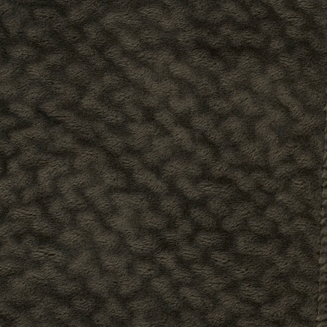 Champion Charcoal