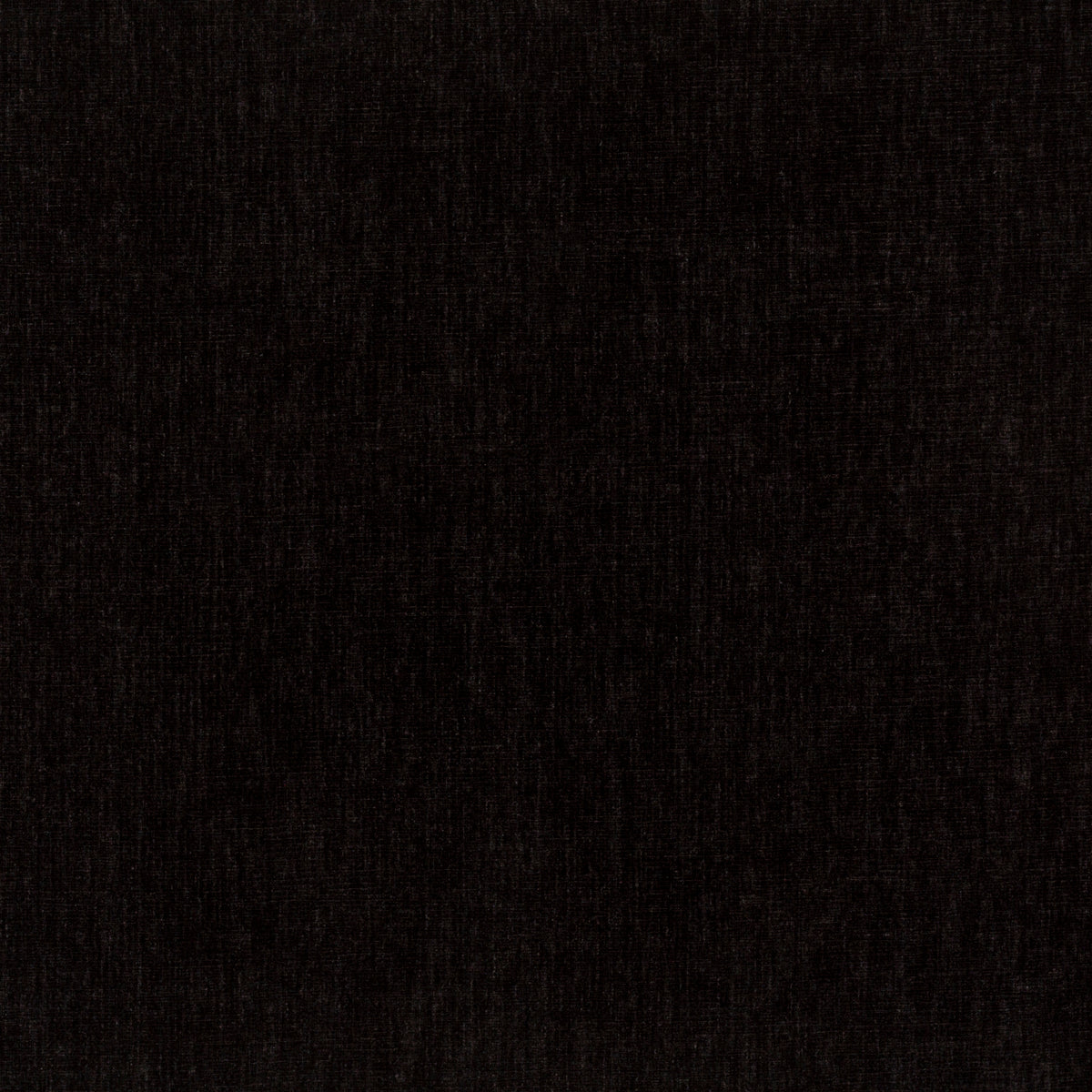 Contessa Ebony