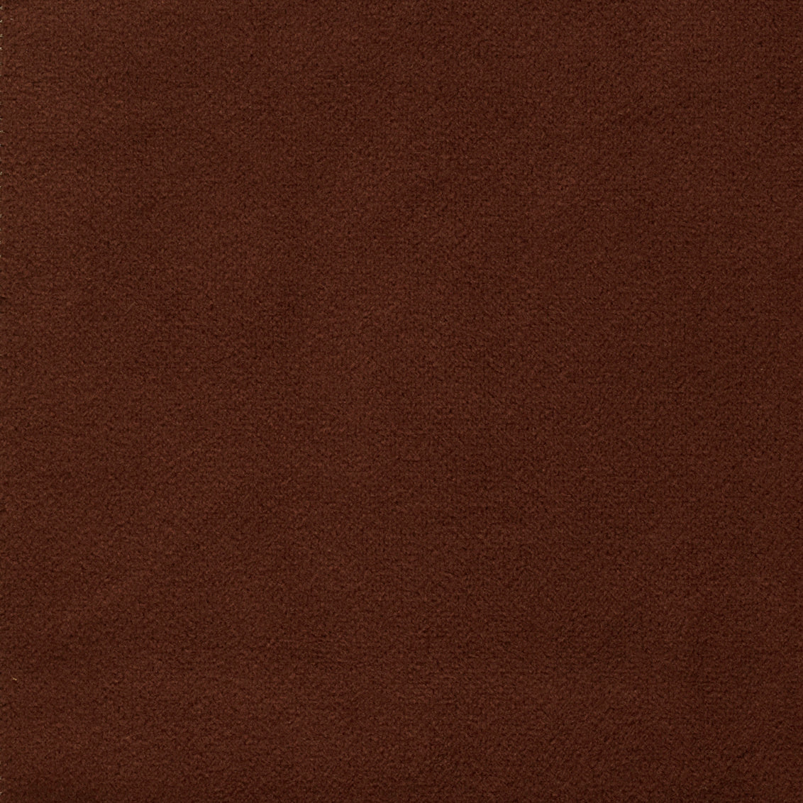 Duke Cinnamon