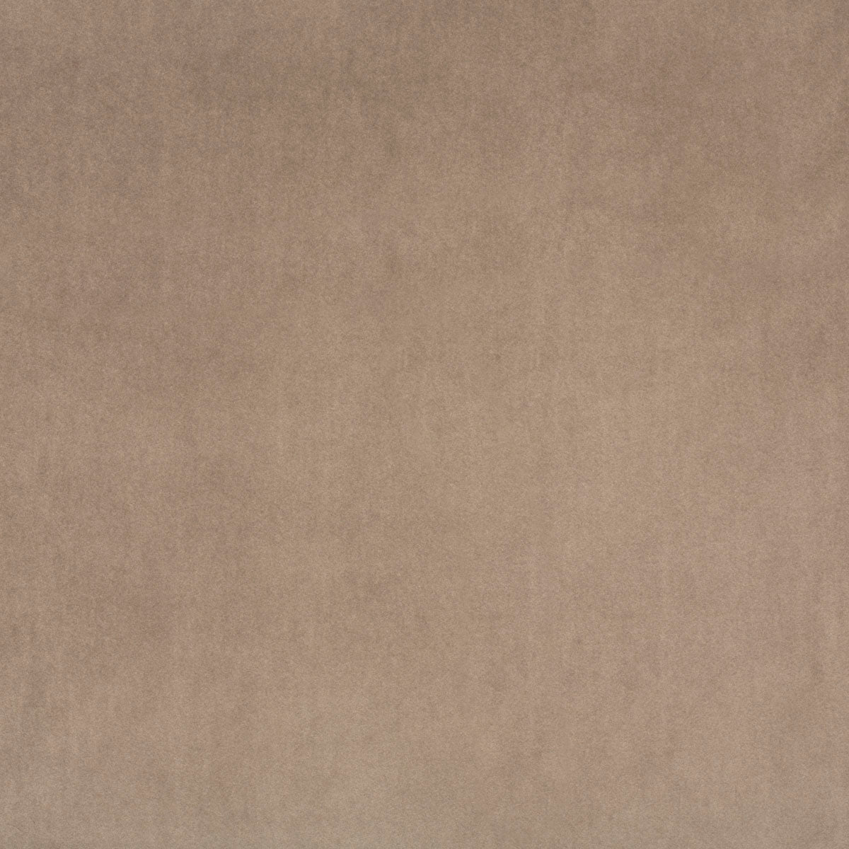 Marquis Taupe