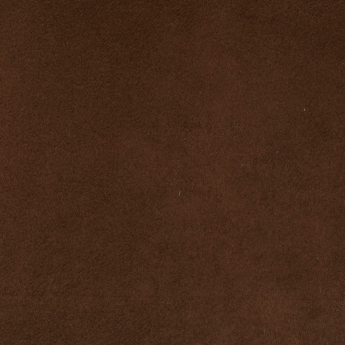 Passion Suede Chocolate