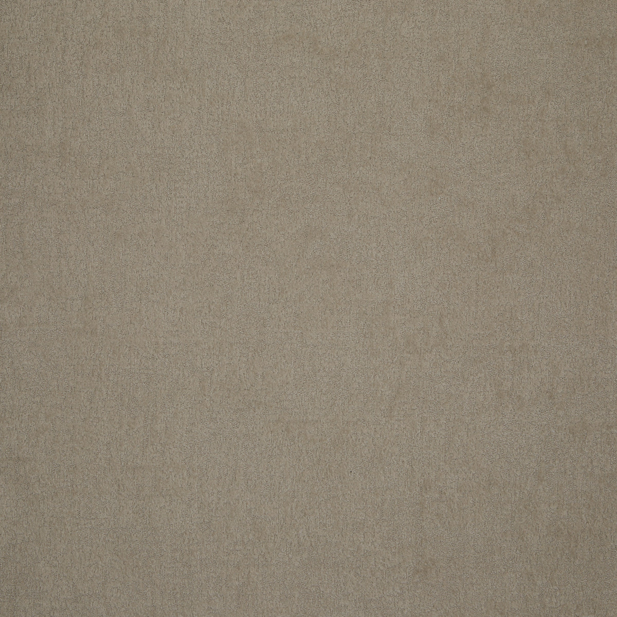 Patagonia Camel