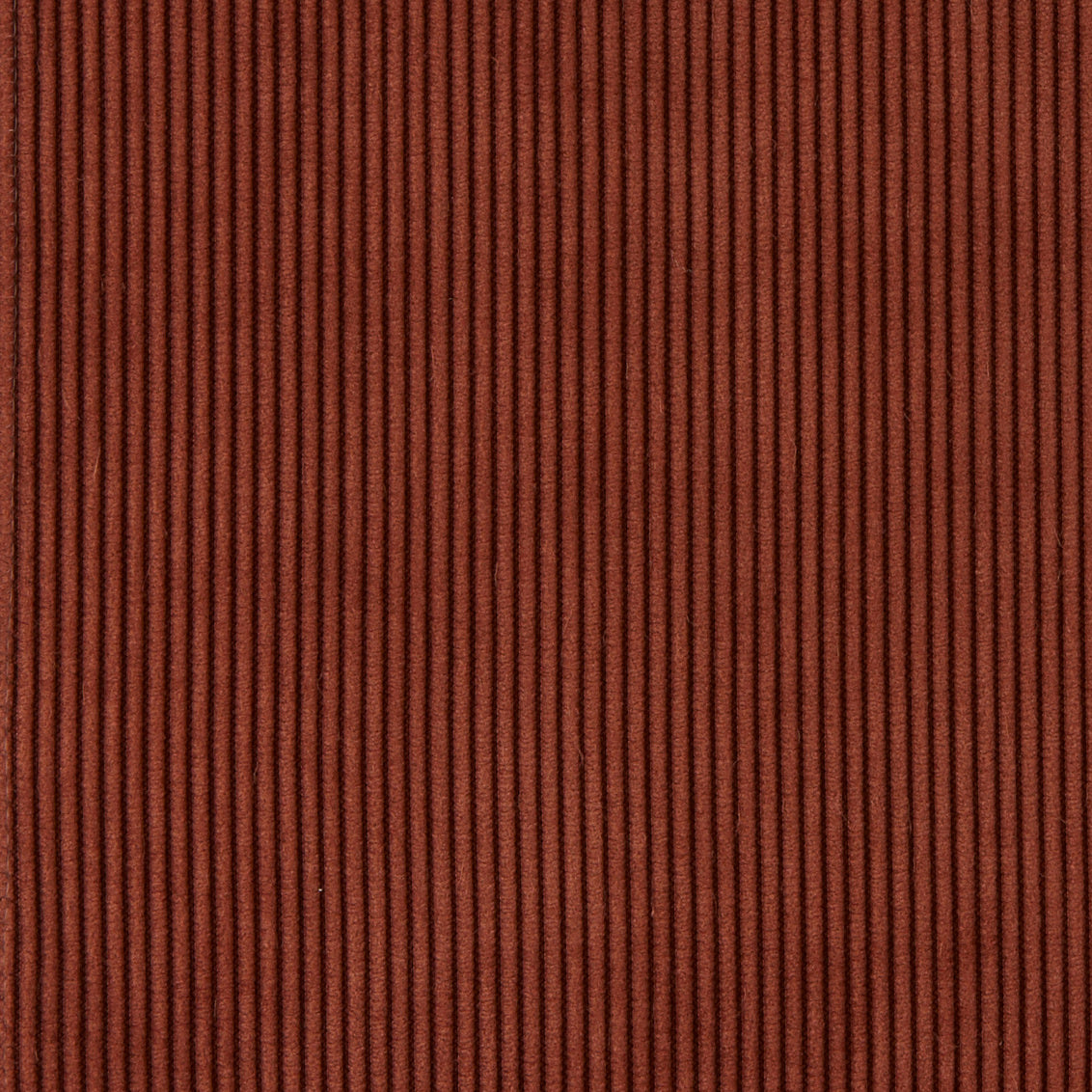 Pincord Suede Spice