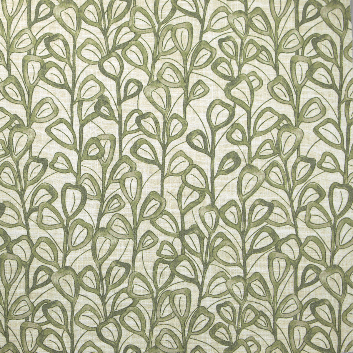 Sage - Cactus