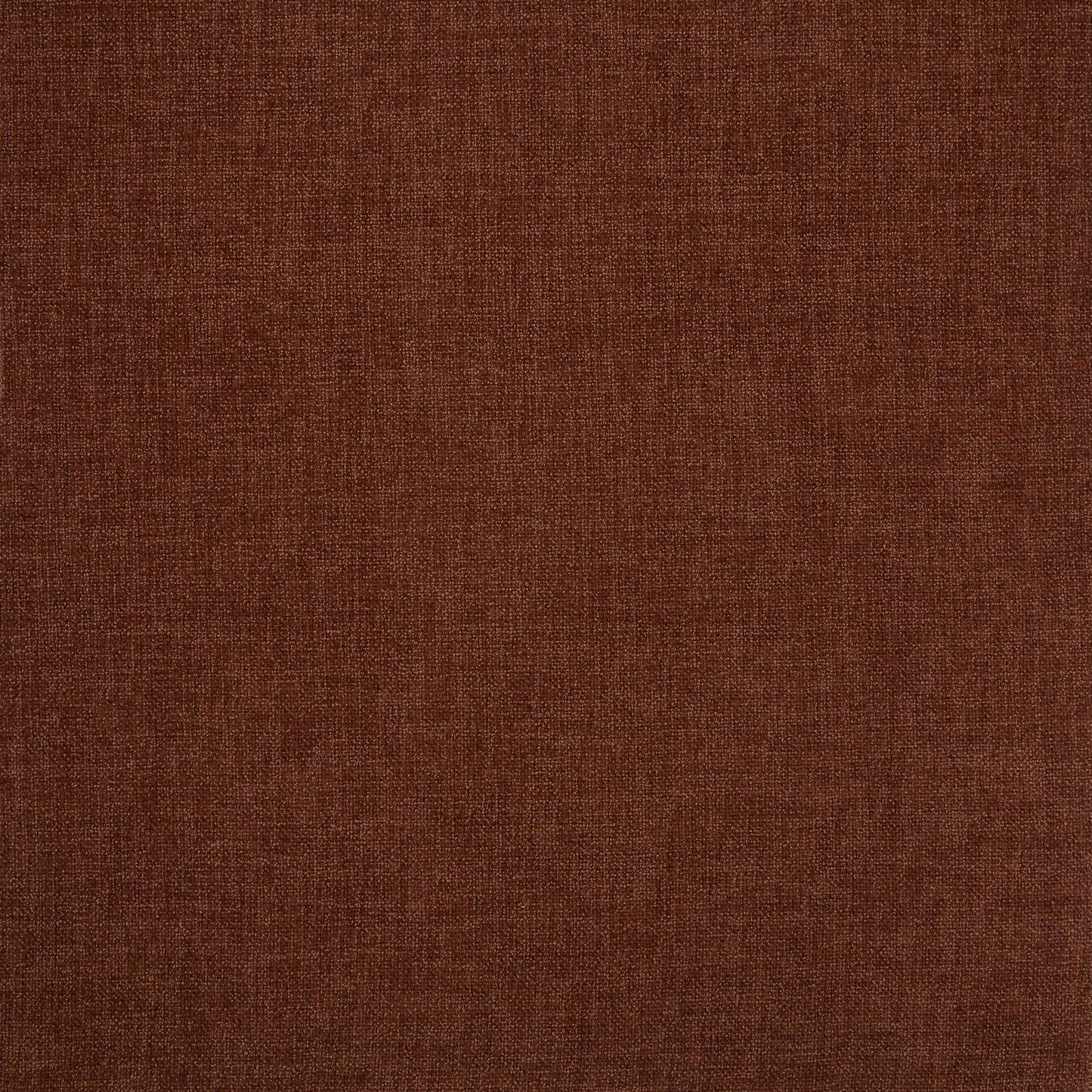 Sierra Saffron