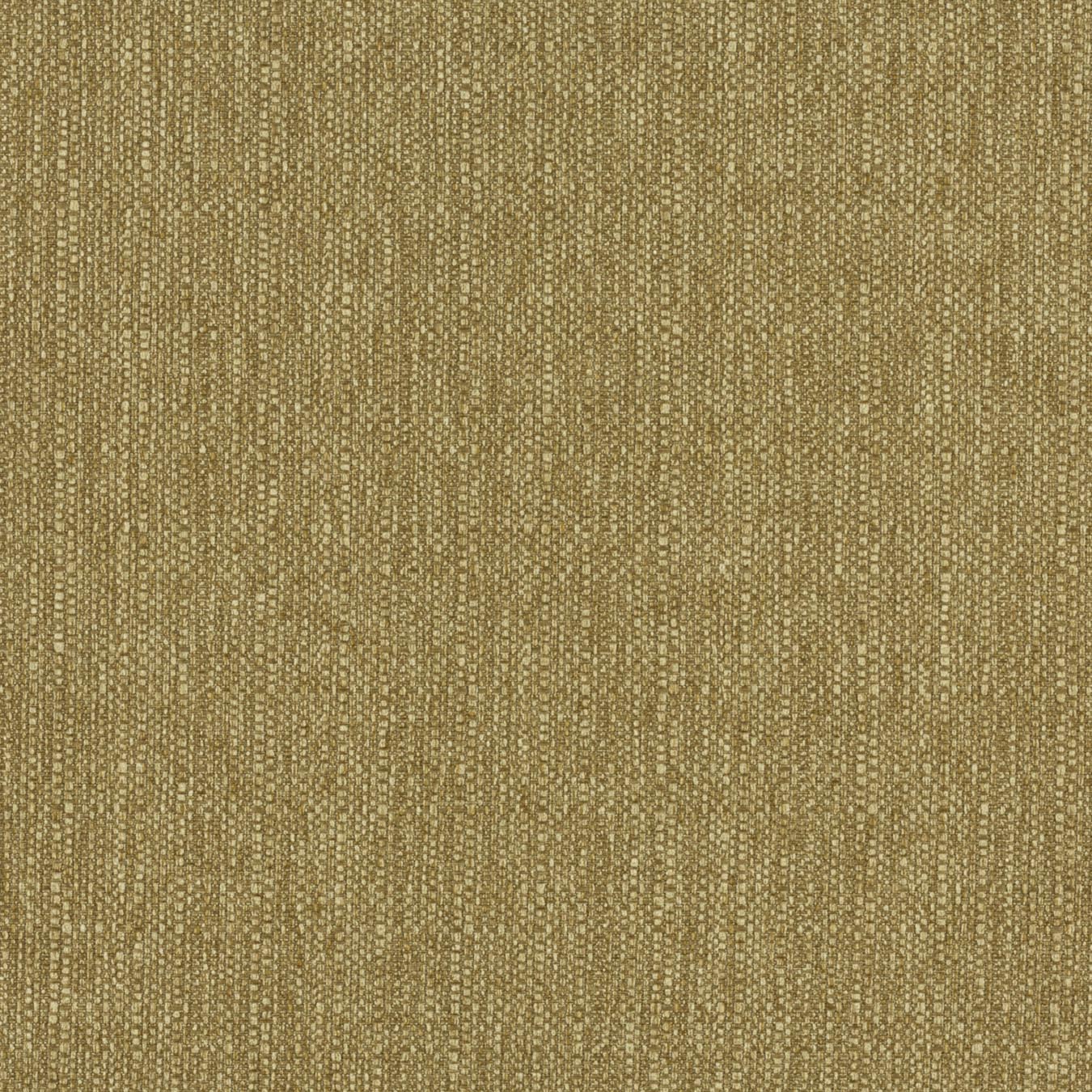 Zander Gold