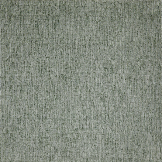 Anniston Eucalyptus