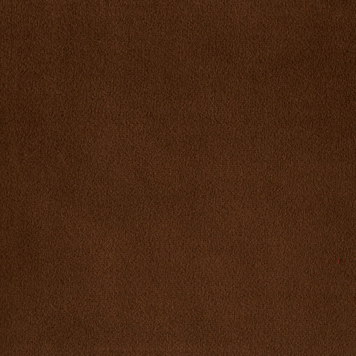 Duke Pecan