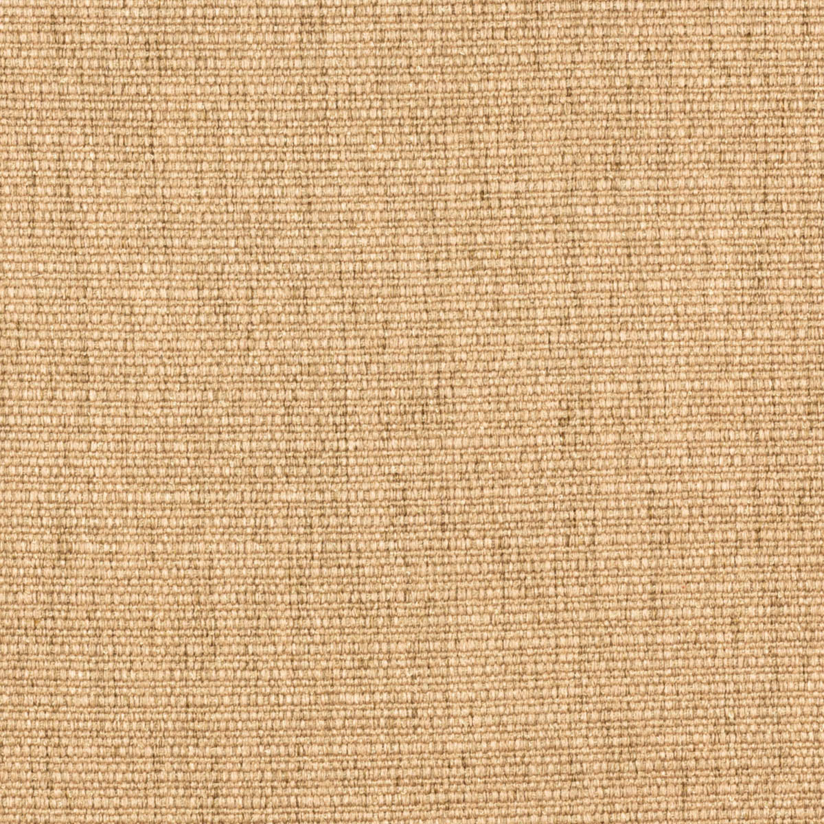 Eton Maize