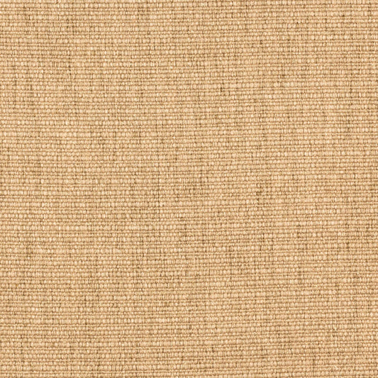 Eton Maize