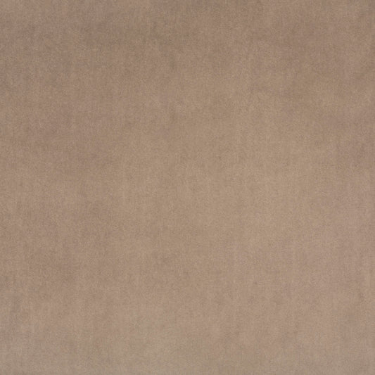Marquis Taupe