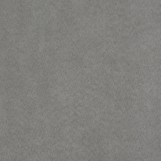 Passion Suede Platinum