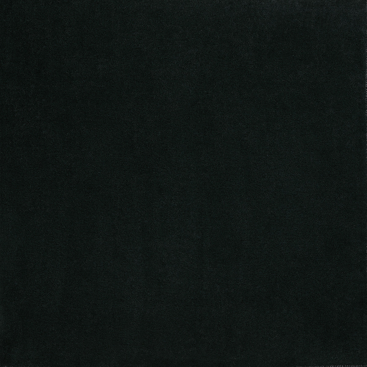 Patagonia Black