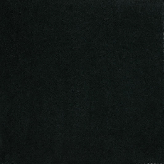 Patagonia Black