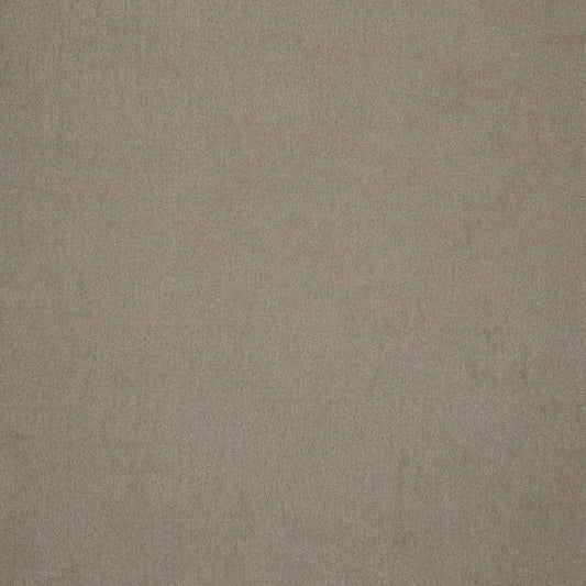 Patagonia Camel